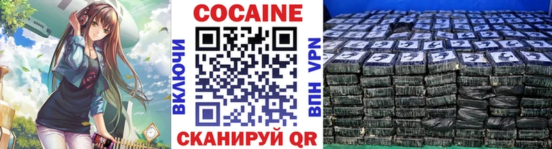 COCAIN FishScale  Купить закладки  Салехард 