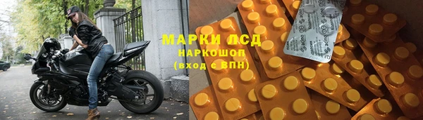 гашик Пересвет
