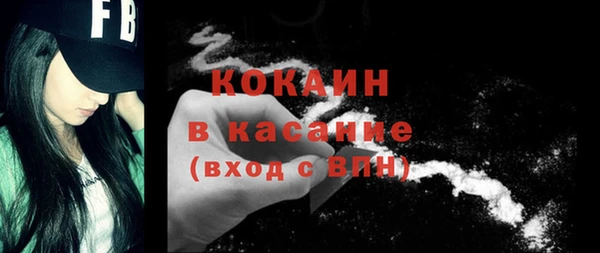гашик Пересвет