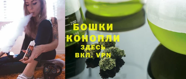 гашик Пересвет