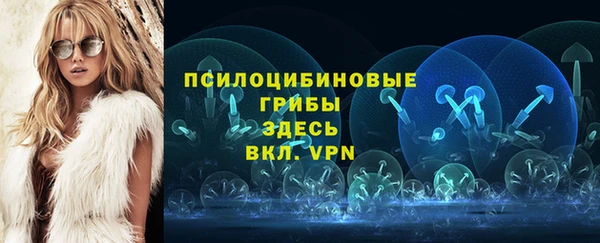 гашик Пересвет