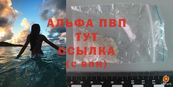 гашик Пересвет