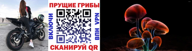 Галлюциногенные грибы мухоморы  Купить где  Салехард 